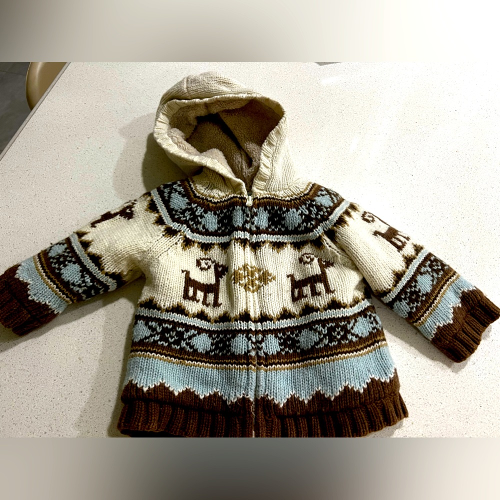 Janie and Jack Wool Knit Zip Up Sweater